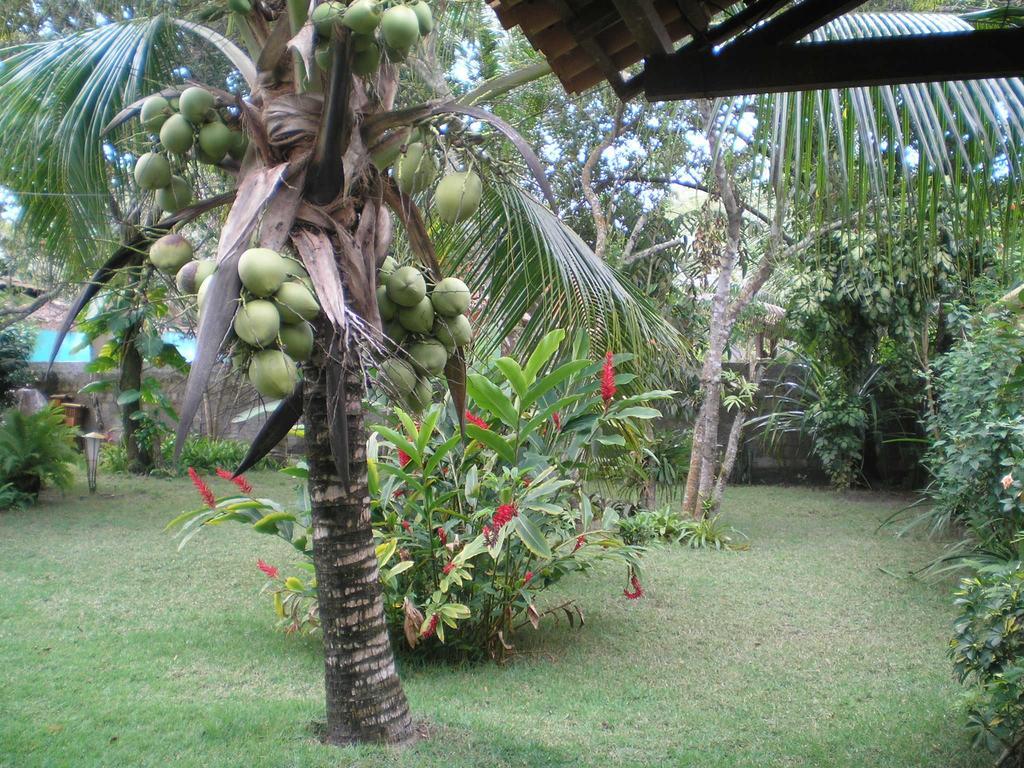 Casa Da Duda Villa Porto Seguro Ruang foto